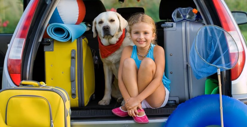 Dog with girl in car on family camping vacation