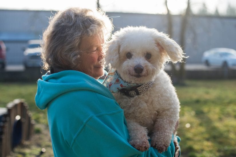 person holding dog outside sunny