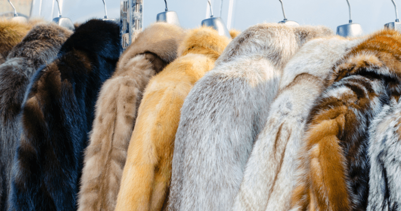 Fur coats hanging on a rack