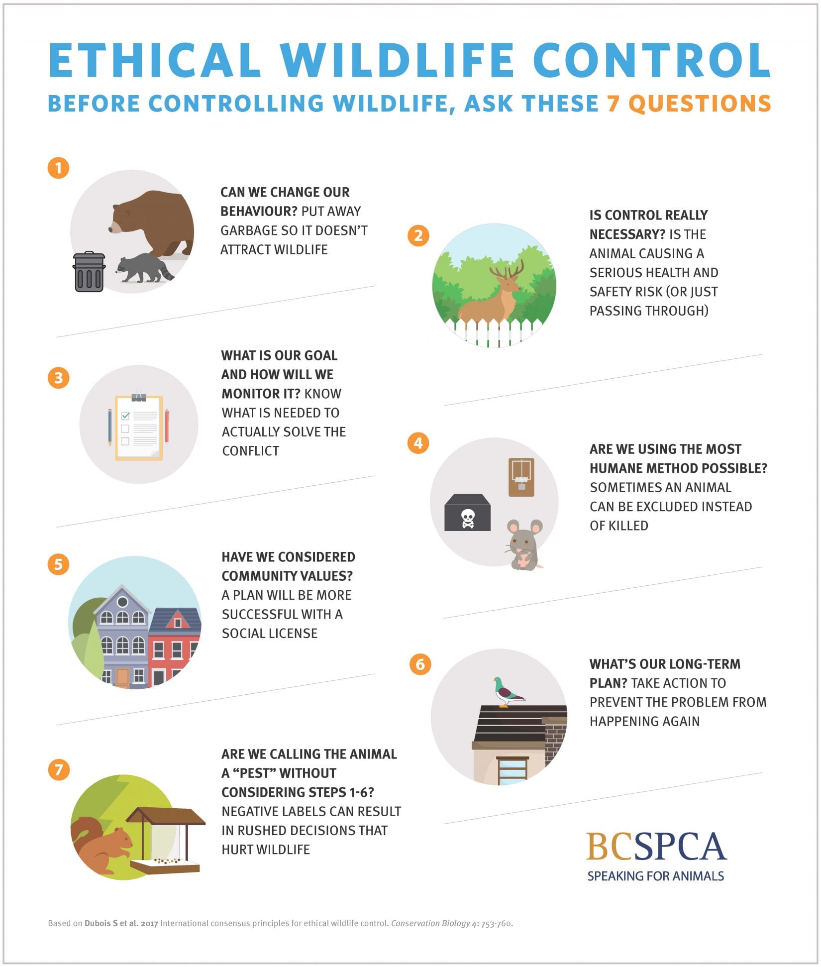 7 questions to ask before wildlife control