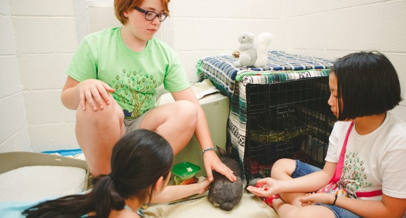 For teens - BC SPCA For teens - BC SPCA