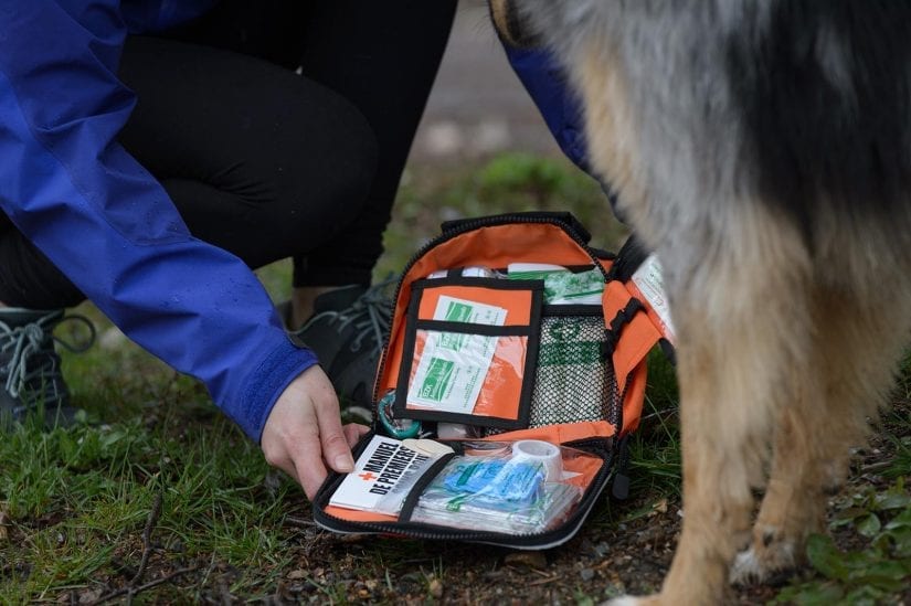 Merch shot of woman's hands and open pet first aid kit with dog nearby