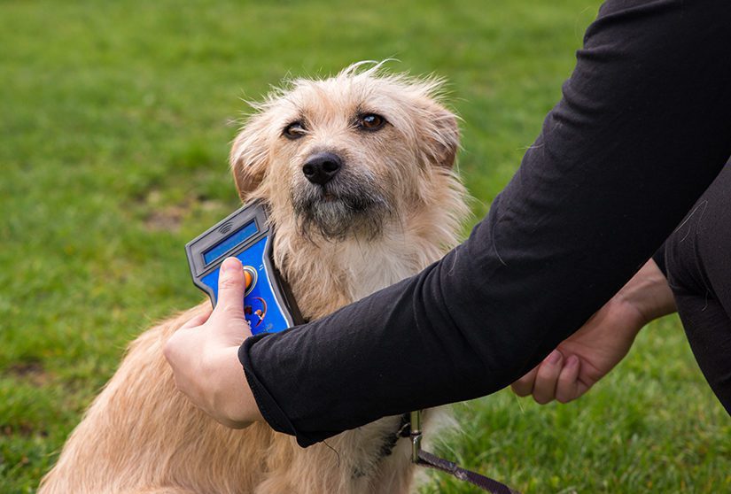 Microchip scanner