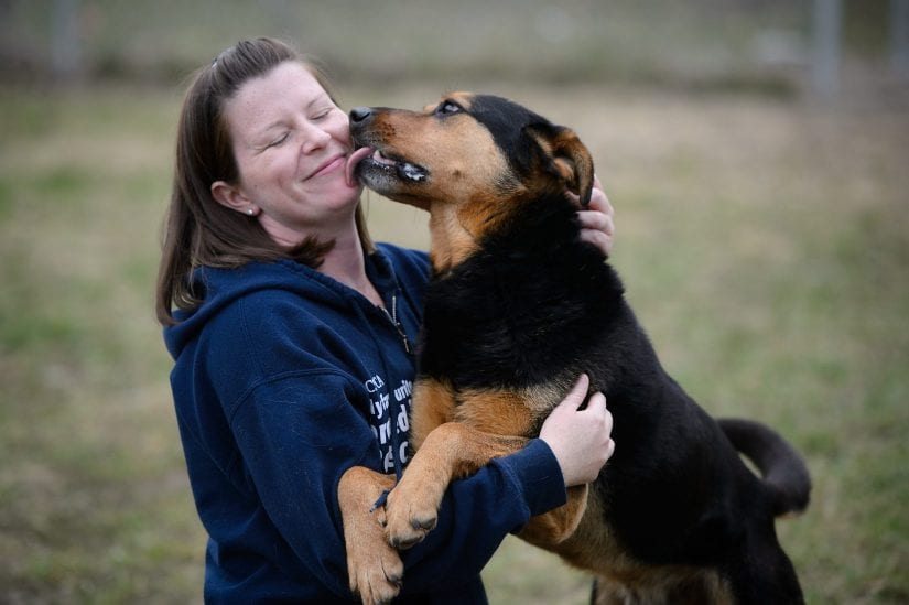 Lickety-split: How to teach your dog to stop licking people