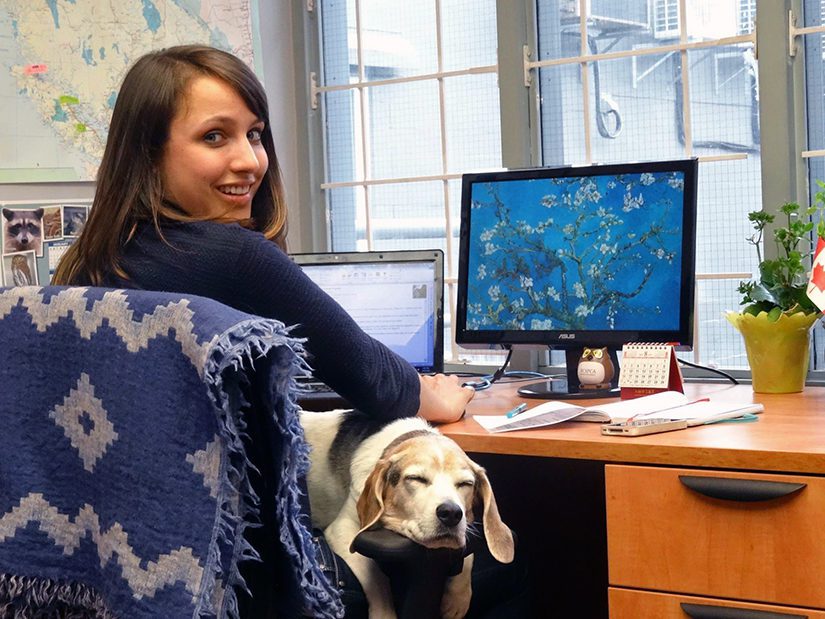 Pet-Friendly Workplaces Are On The Rise: Here's Where To Find Them