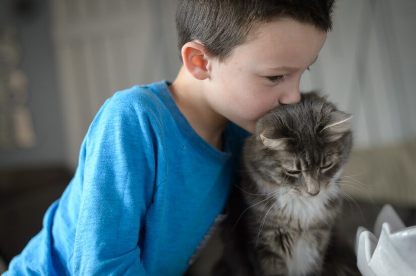 kid with cat