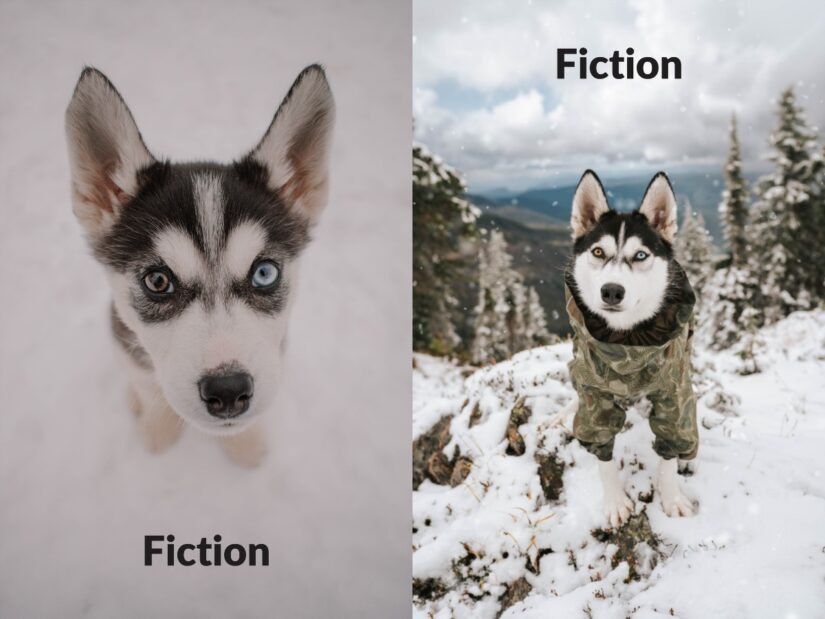 fiction before after