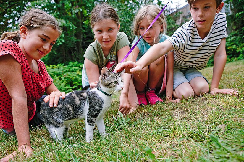 kids meeting a kitten on a leash