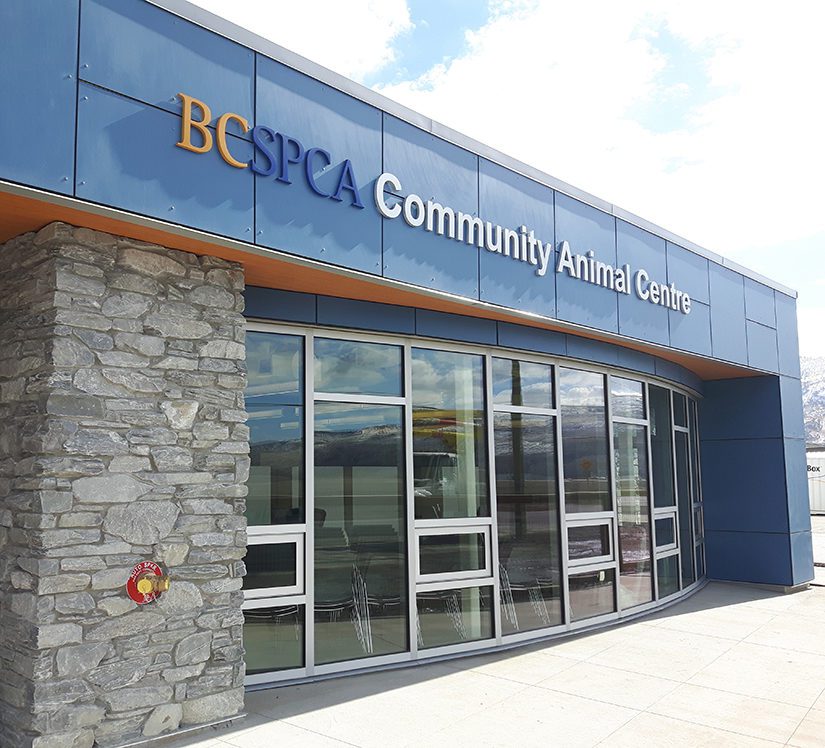 The BC SPCA Community Animal Centre in Kamloops