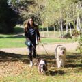 olivia malcolm walking dogs