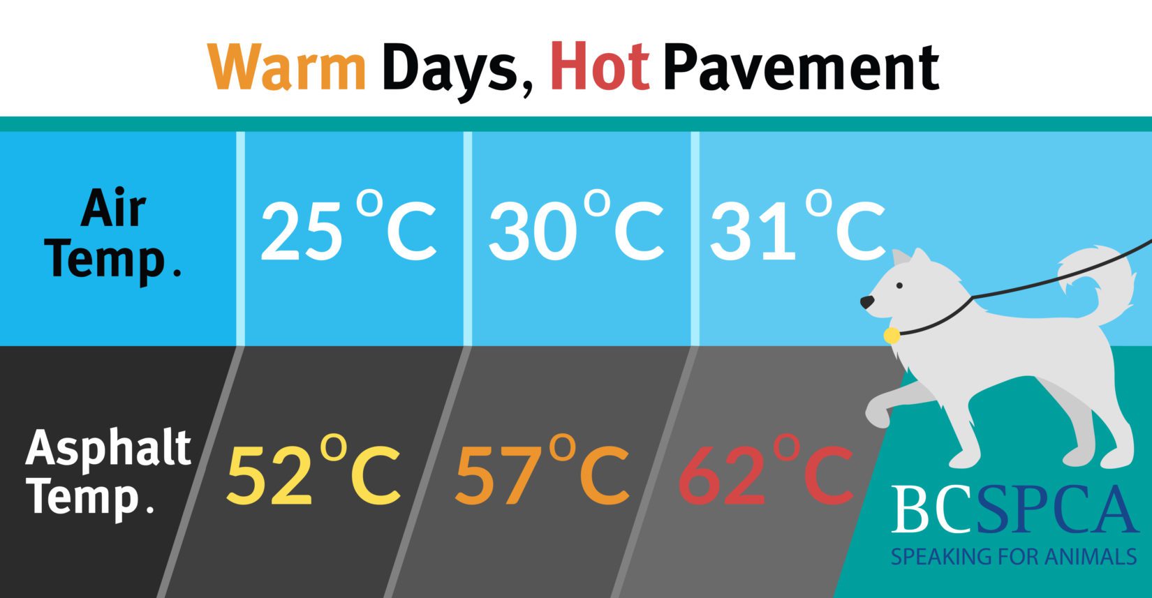 https://b1157417.smushcdn.com/1157417/wp-content/uploads/protect-pet-paws-hot-pavement-infographic-fb-preview.jpg?lossy=1&strip=1&webp=0