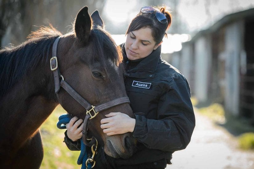 Cruelty investigative Department staff in uniform petting horse outdoors