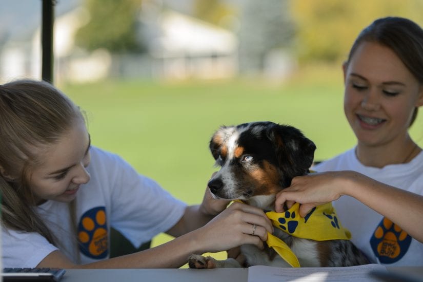 For teens - BC SPCA For teens - BC SPCA