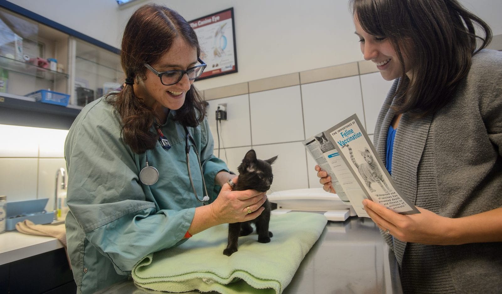 Veterinary services BC SPCA