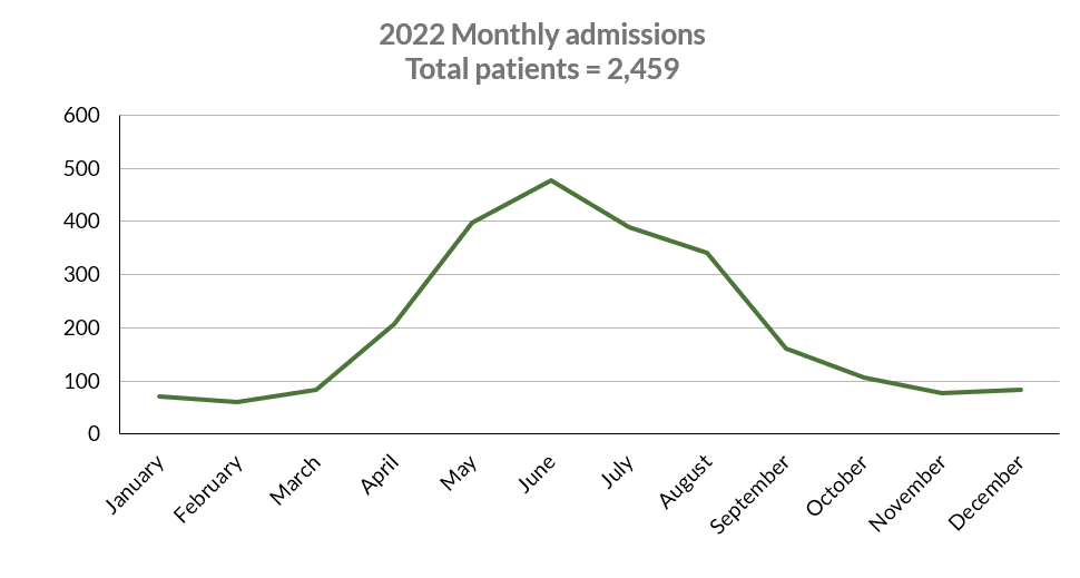Number of animals admitted each month at Wild ARC in 2017